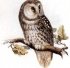 FloRic