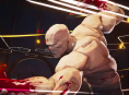 Titan bekr&auml;ftad som fighter i Invincible VS