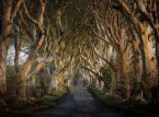 Irländska regeringen kan skära ner på berömda Game of Thrones Dark Hedges