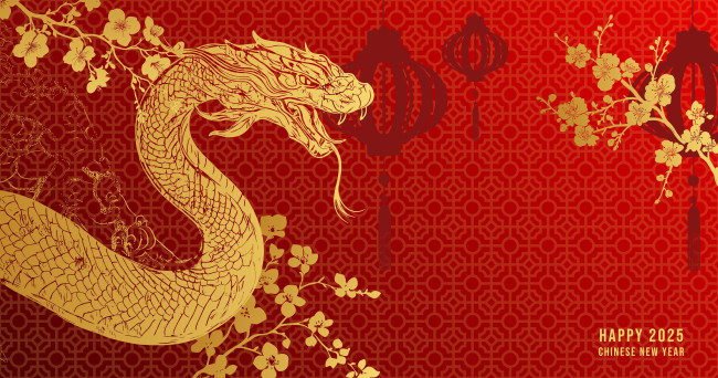 Allt du behöver veta om Kinas reserush inför det kinesiska nyåret, även känt som 