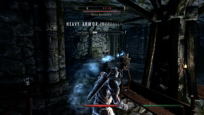 The Elder Scrolls V: Skyrim