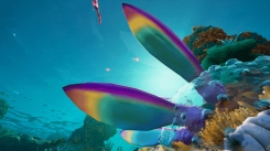 Related Image