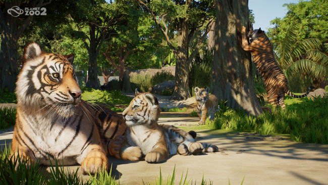 Planet Zoo 2 ser ut att bli precis den uppföljare vi alla har hoppats på