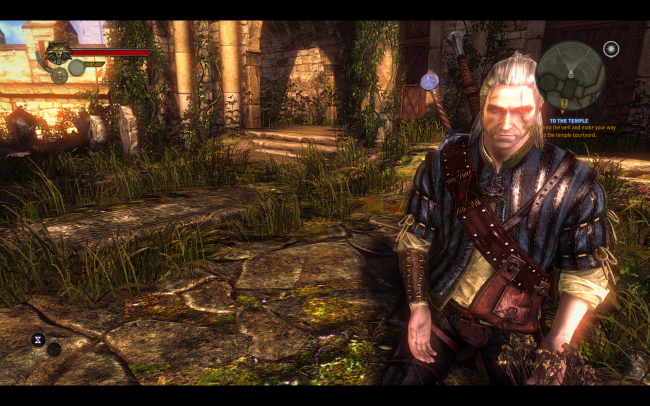 The Witcher 2: Assassins of Kings