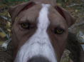 Kingdom Come: Deliverance II f&aring;r nya Capon-, Henry- och Mutt-gosedjur