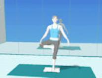 Wii Fitness